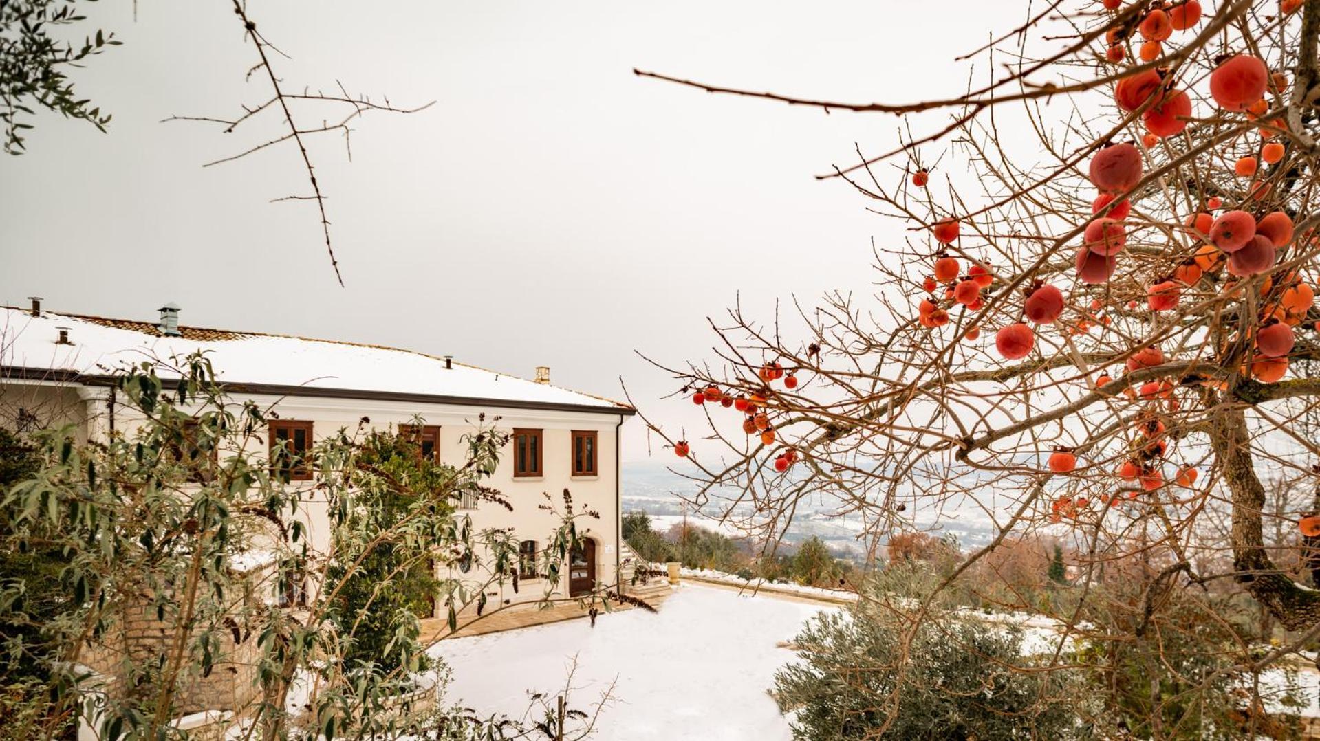 Il Mulino Della Signora Luxury Country House Frigento Екстер'єр фото